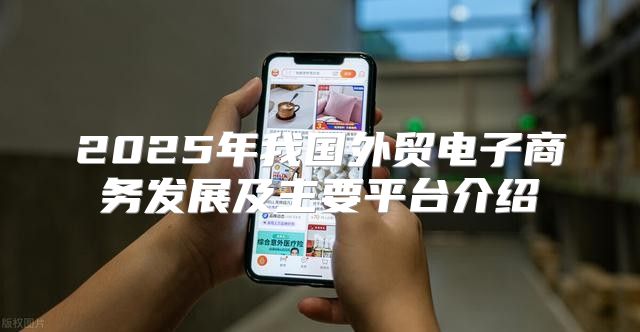 2025年我国外贸电子商务发展及主要平台介绍