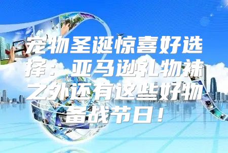 宠物圣诞惊喜好选择：亚马逊礼物袜之外还有这些好物备战节日！