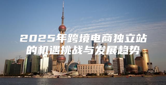 2025年跨境电商独立站的机遇挑战与发展趋势