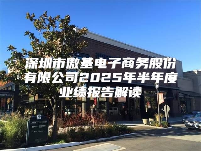 深圳市傲基电子商务股份有限公司2025年半年度业绩报告解读