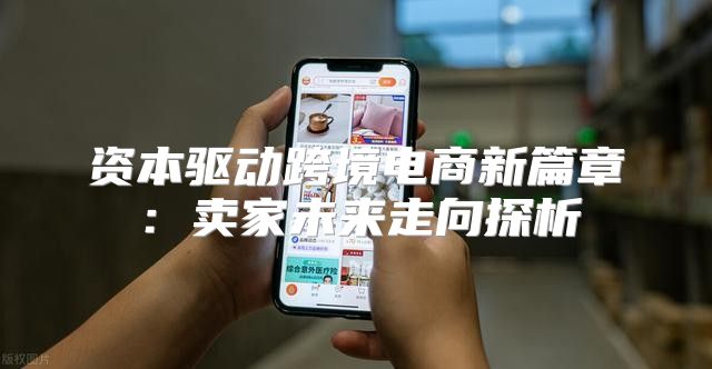 资本驱动跨境电商新篇章：卖家未来走向探析