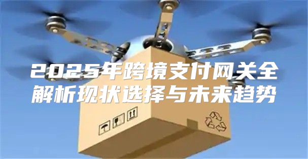 2025年跨境支付网关全解析现状选择与未来趋势