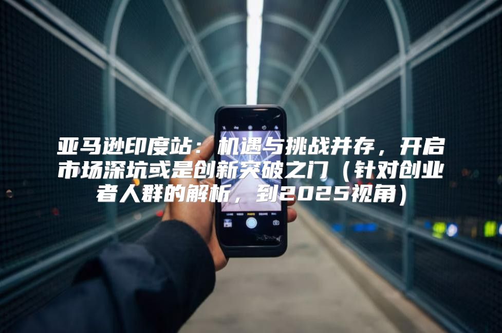 亚马逊印度站：机遇与挑战并存，开启市场深坑或是创新突破之门针对创业者人群的解析，到2025视角