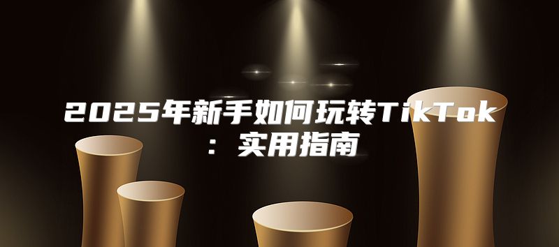 2025年新手如何玩转TikTok：实用指南