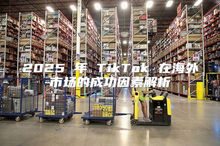 2025 年 TikTok 在海外市场的成功因素解析