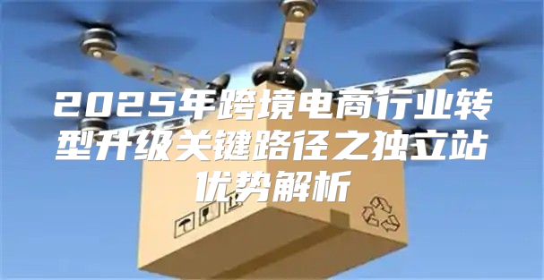 2025年跨境电商行业转型升级关键路径之独立站优势解析