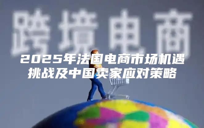 2025年法国电商市场机遇挑战及中国卖家应对策略
