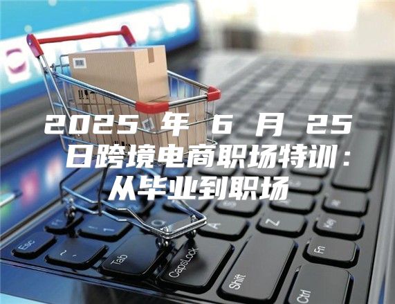 2025 年 6 月 25 日跨境电商职场特训：从毕业到职场