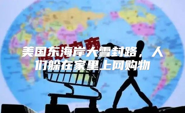 美国东海岸大雪封路，人们躲在家里上网购物