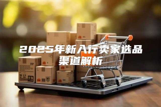 2025年新入行卖家选品渠道解析