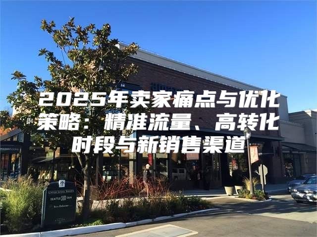 2025年卖家痛点与优化策略：精准流量、高转化时段与新销售渠道