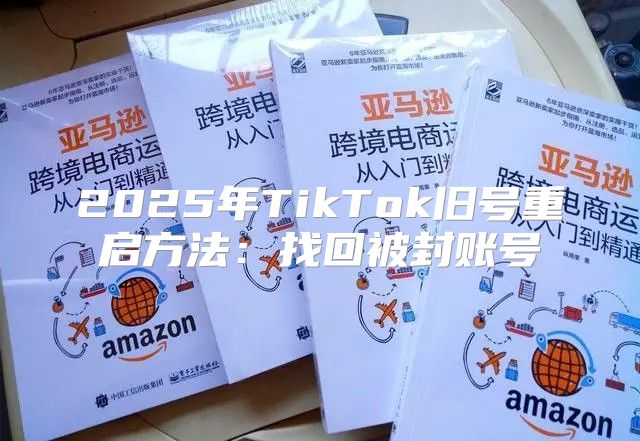 2025年TikTok旧号重启方法：找回被封账号
