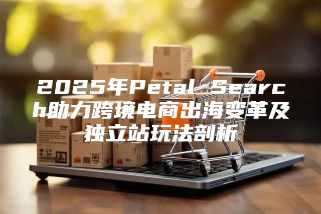2025年Petal Search助力跨境电商出海变革及独立站玩法剖析