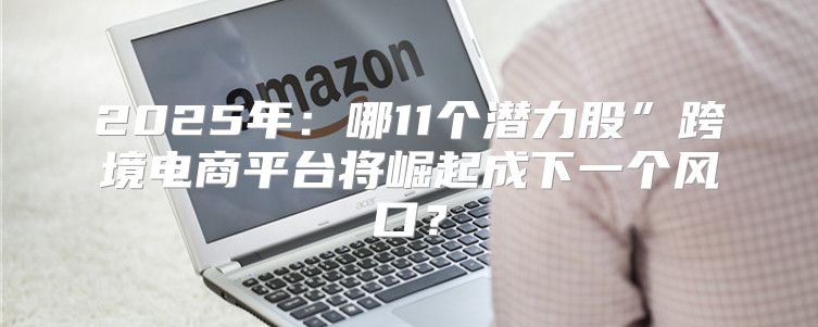 2025年：哪11个潜力股”跨境电商平台将崛起成下一个风口？