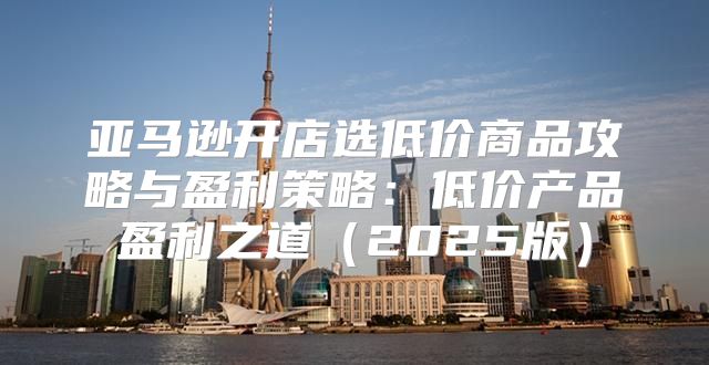 亚马逊开店选低价商品攻略与盈利策略：低价产品盈利之道2025版
