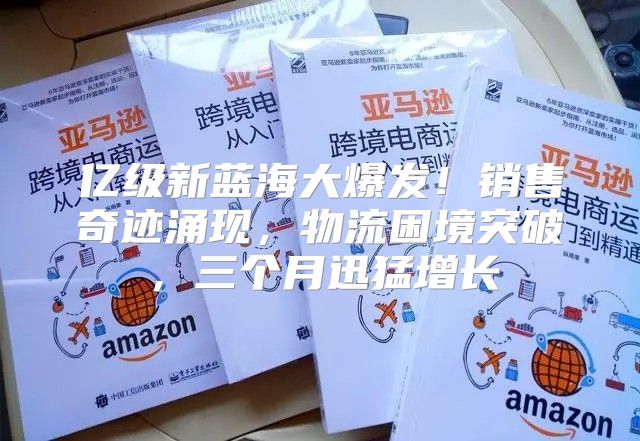 亿级新蓝海大爆发！销售奇迹涌现，物流困境突破，三个月迅猛增长