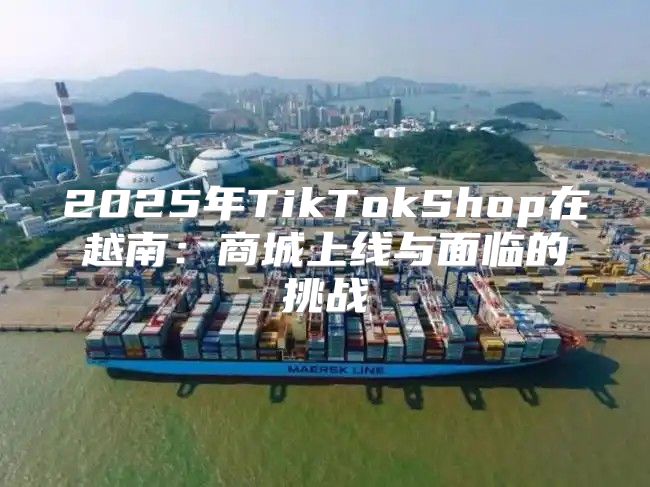 2025年TikTokShop在越南：商城上线与面临的挑战