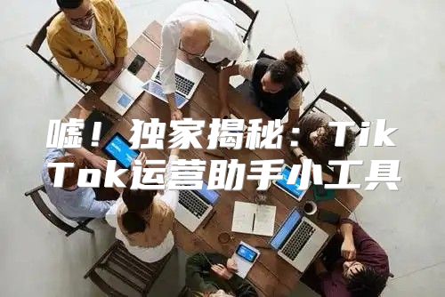 嘘！独家揭秘：TikTok运营助手小工具