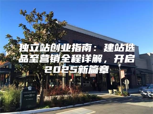 独立站创业指南：建站选品至营销全程详解，开启2025新篇章