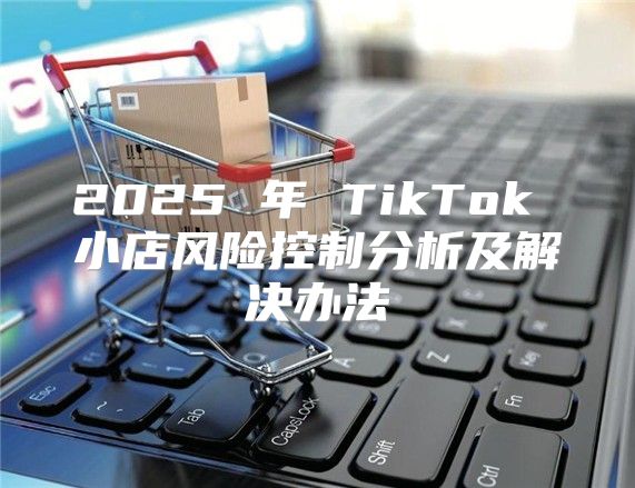 2025 年 TikTok 小店风险控制分析及解决办法