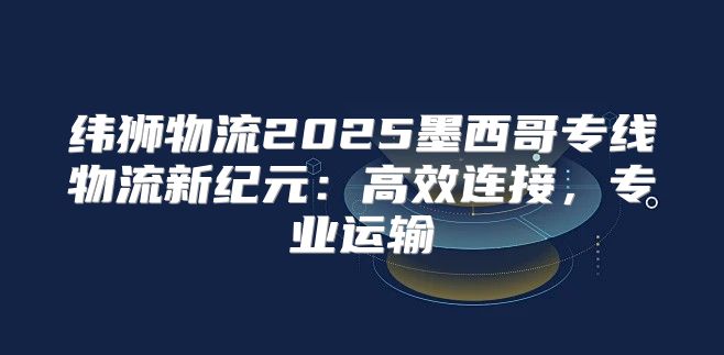 纬狮物流2025墨西哥专线物流新纪元：高效连接，专业运输