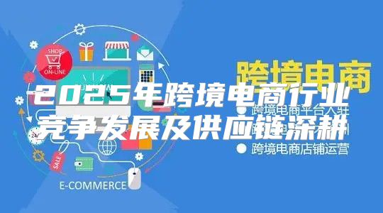 2025年跨境电商行业竞争发展及供应链深耕