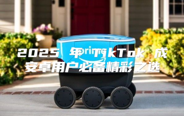 2025 年 TikTok 成安卓用户必备精彩之选