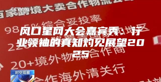 风口星网大会嘉宾秀：行业领袖的真知灼见展望2025