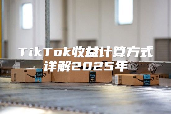 TikTok收益计算方式详解2025年