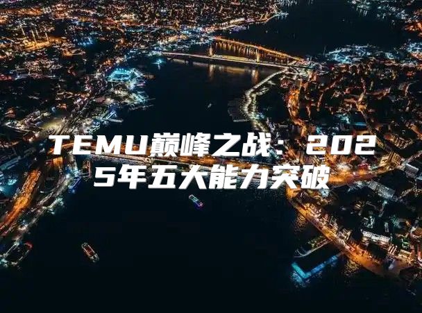 TEMU巅峰之战：2025年五大能力突破
