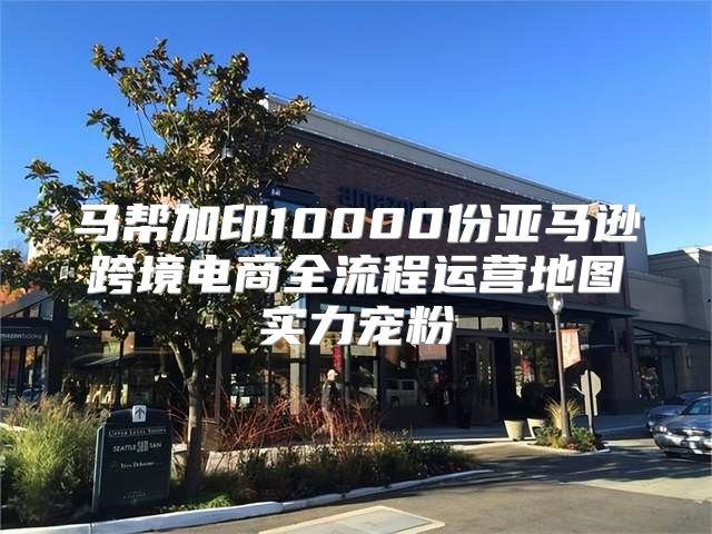 马帮加印10000份亚马逊跨境电商全流程运营地图实力宠粉