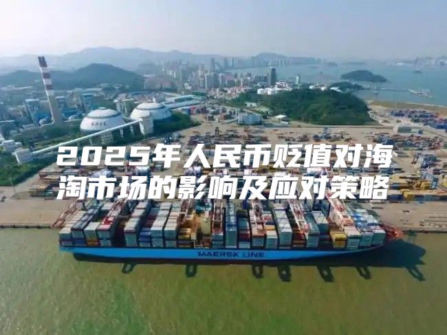 2025年人民币贬值对海淘市场的影响及应对策略