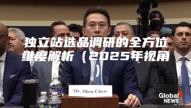 独立站选品调研的全方位维度解析2025年视角