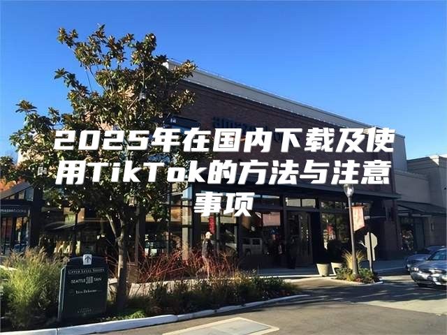 2025年在国内下载及使用TikTok的方法与注意事项