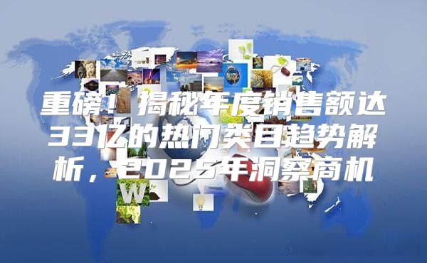 重磅！揭秘年度销售额达33亿的热门类目趋势解析，2025年洞察商机