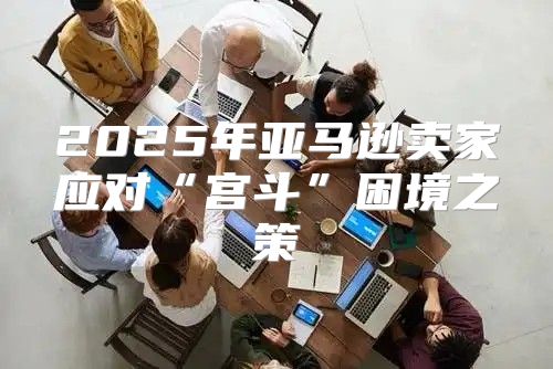 2025年亚马逊卖家应对“宫斗”困境之策