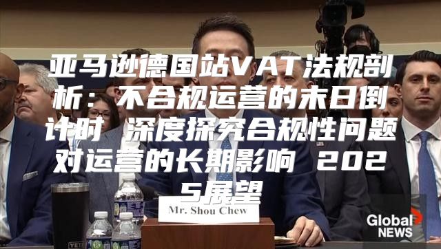 亚马逊德国站VAT法规剖析：不合规运营的末日倒计时 深度探究合规性问题对运营的长期影响 2025展望