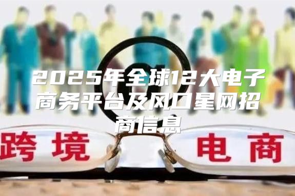 2025年全球12大电子商务平台及风口星网招商信息
