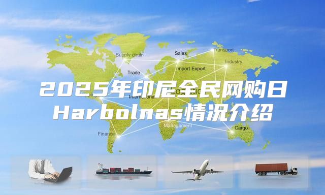 2025年印尼全民网购日Harbolnas情况介绍