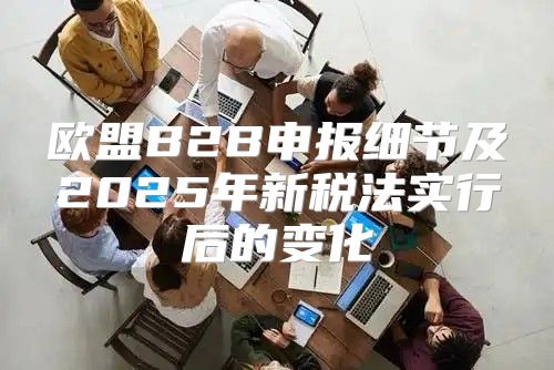 欧盟B2B申报细节及2025年新税法实行后的变化