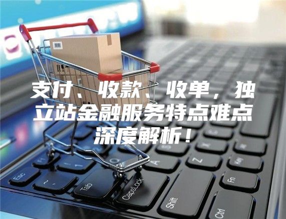 支付、收款、收单，独立站金融服务特点难点深度解析！