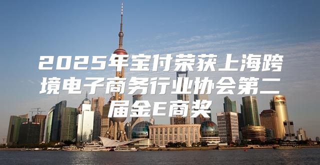 2025年宝付荣获上海跨境电子商务行业协会第二届金E商奖