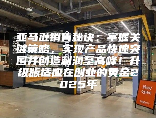 亚马逊销售秘诀：掌握关键策略，实现产品快速突围并创造利润至高峰！升级版适应在创业的黄金2025年