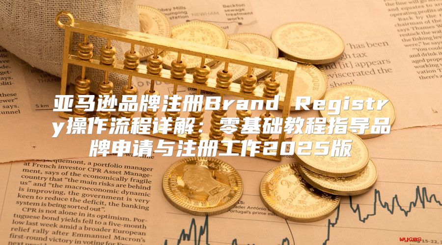 亚马逊品牌注册Brand Registry操作流程详解：零基础教程指导品牌申请与注册工作2025版