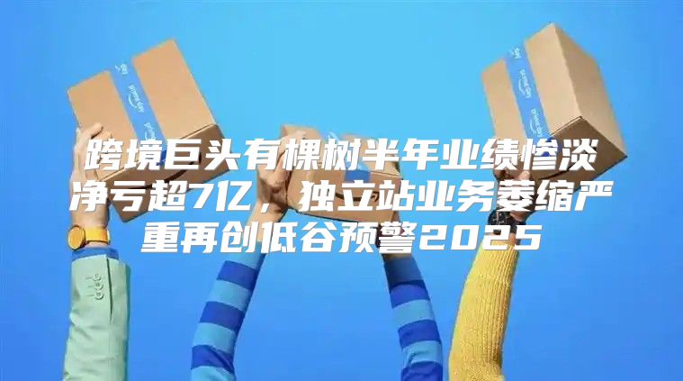 跨境巨头有棵树半年业绩惨淡净亏超7亿，独立站业务萎缩严重再创低谷预警2025