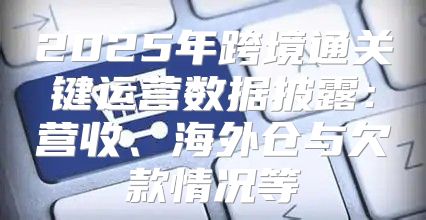 2025年跨境通关键运营数据披露：营收、海外仓与欠款情况等
