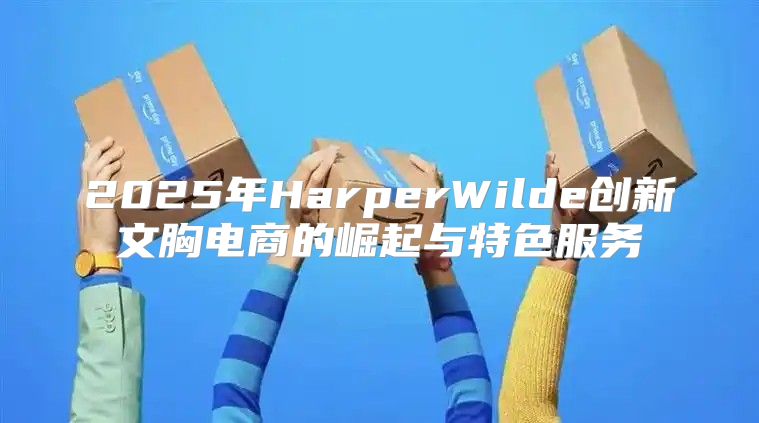 2025年HarperWilde创新文胸电商的崛起与特色服务