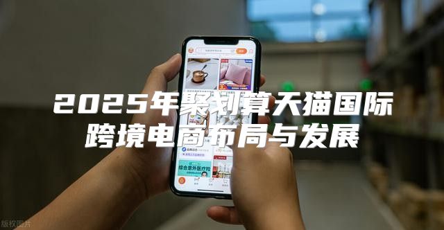 2025年聚划算天猫国际跨境电商布局与发展
