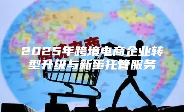 2025年跨境电商企业转型升级与新蛋托管服务