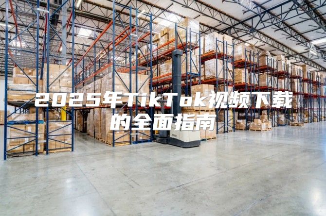 2025年TikTok视频下载的全面指南